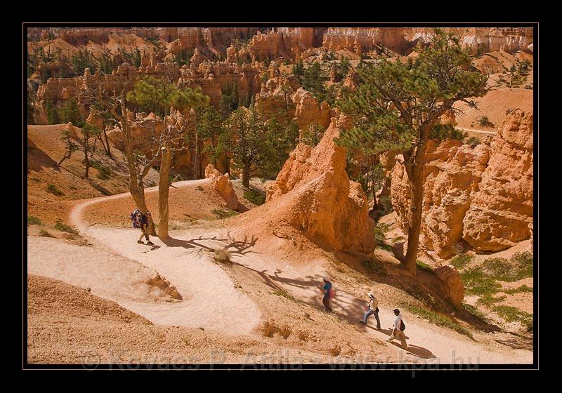 Bryce Canyon 19.jpg